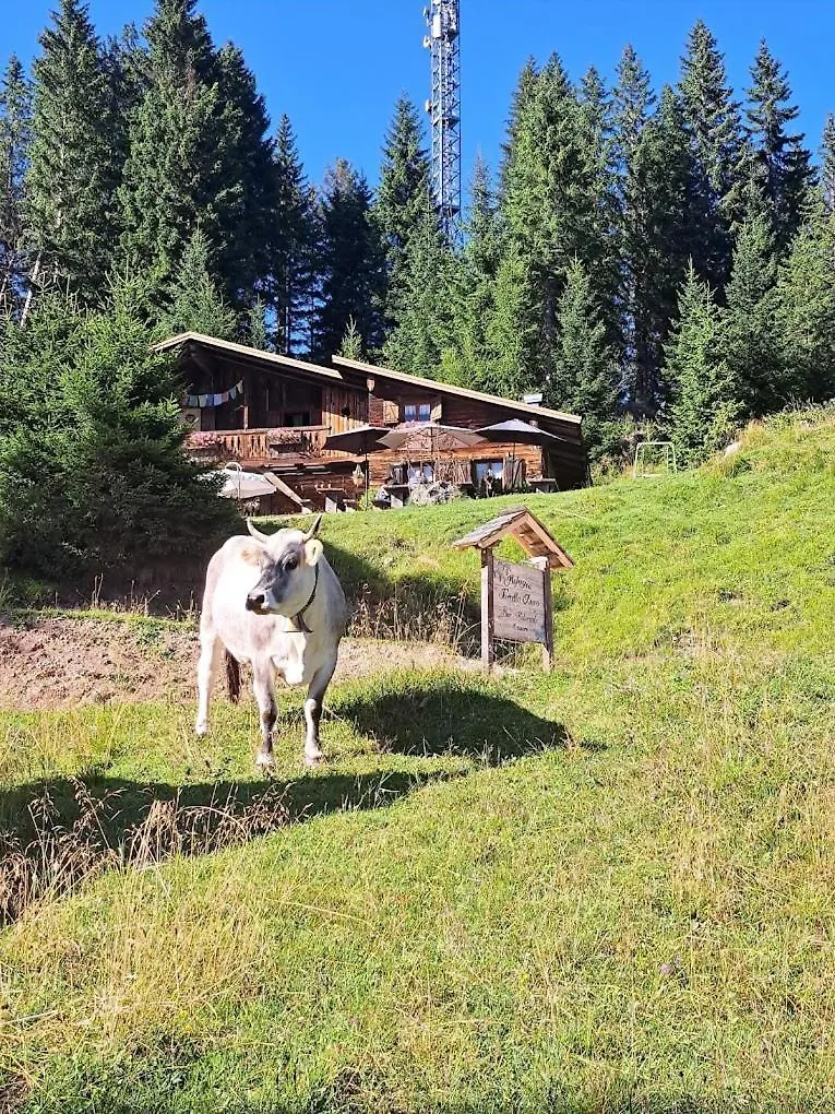Rifugio Forcella Zovo Hotel San Pietro di Cadore 0*,