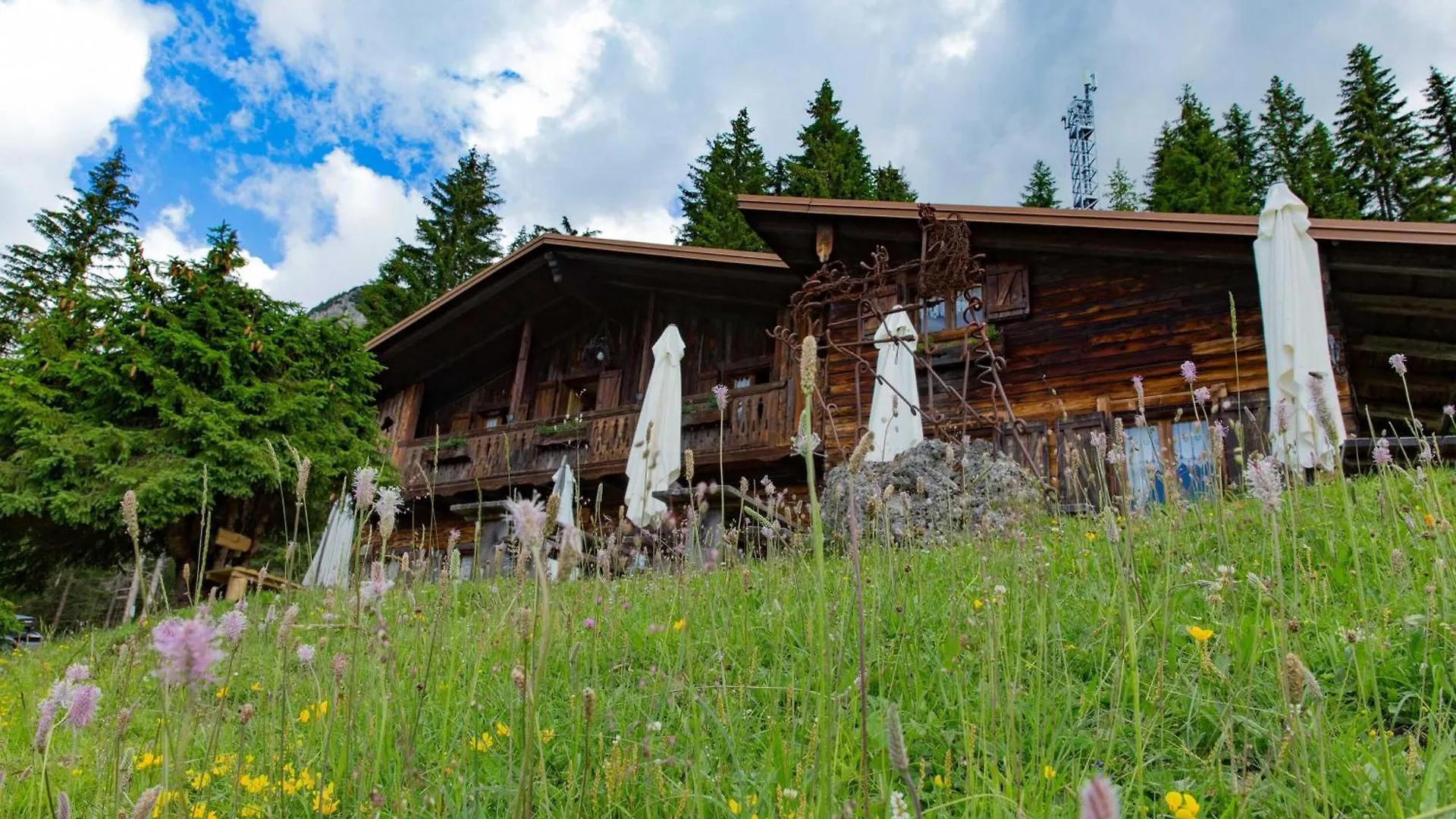 Rifugio Forcella Zovo Hotel San Pietro di Cadore 0*,